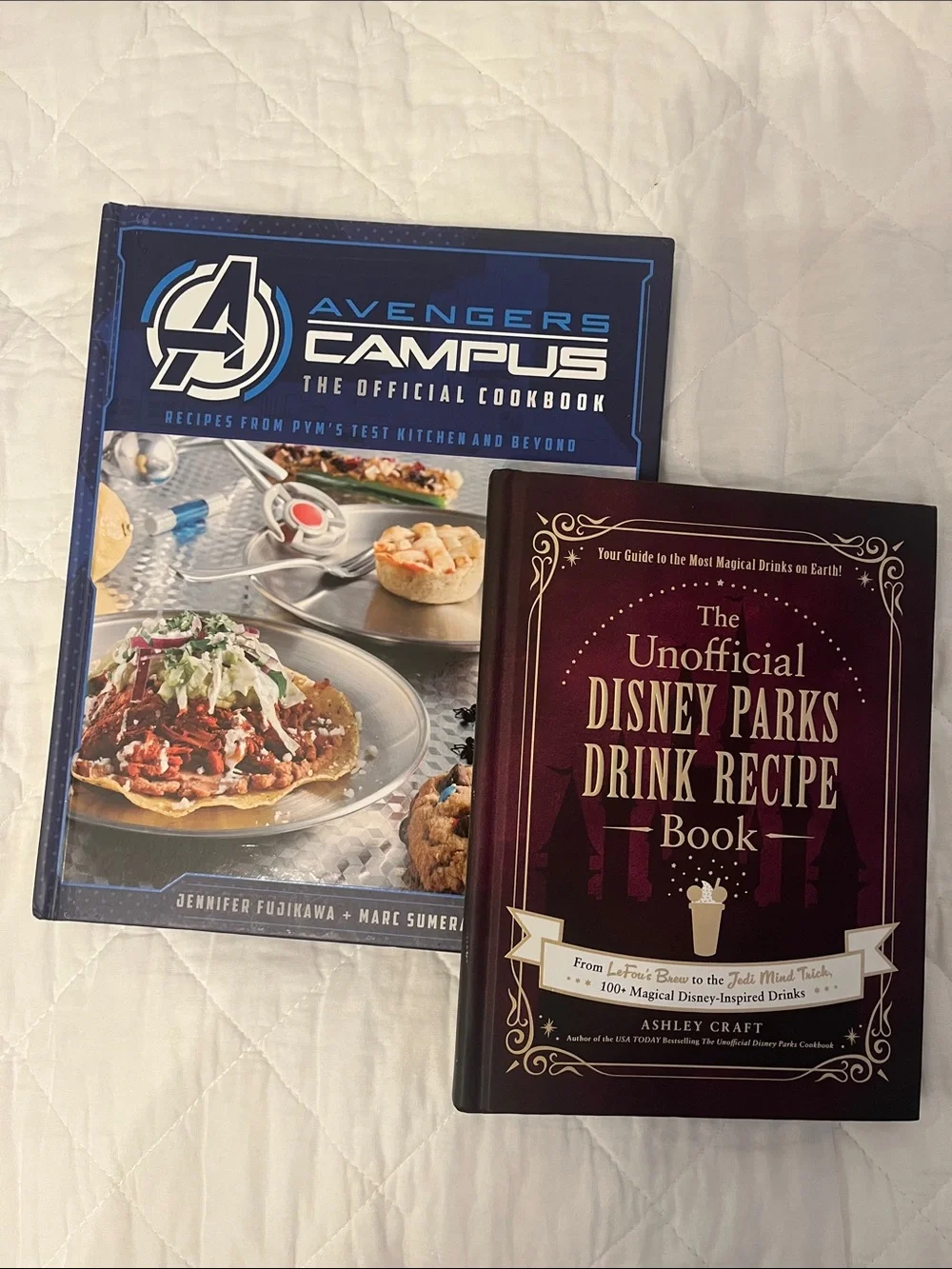 Disney themed cookbook duo